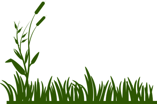 Silhouetteof Grassand Plants PNG with transparent background