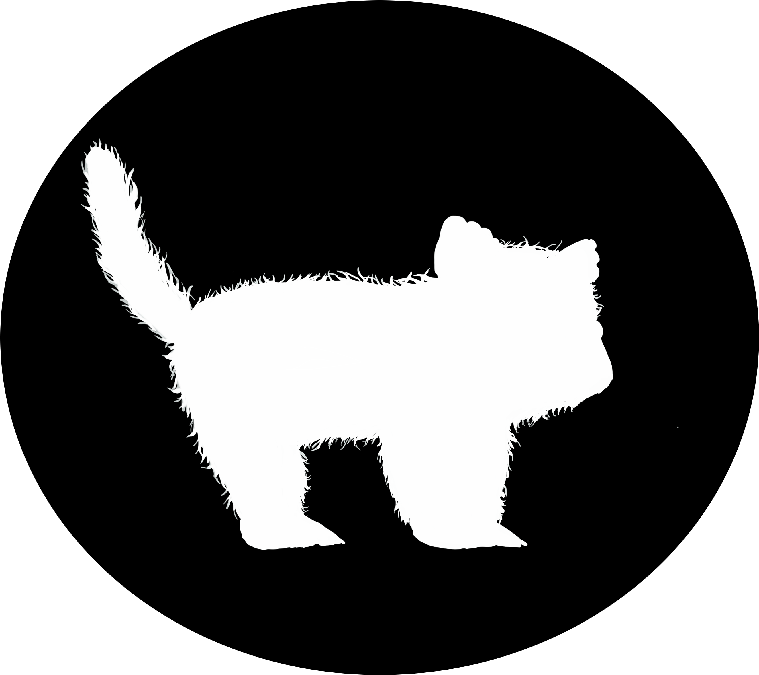 Silhouetteof Kittenon Dark Background