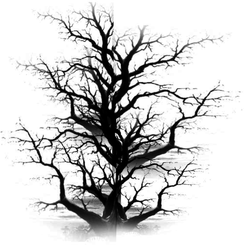 Dead Tree Clipart Plain Black - Old Dead Tree Png, Transparent Png PNG with transparent background