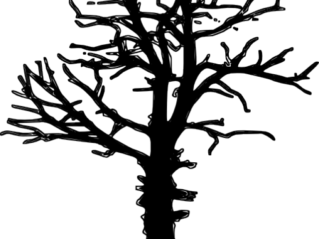 Transparent Leafless Tree Png - Make A Program On Google Docs, Png Download PNG with transparent background