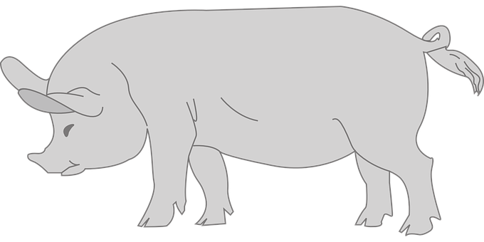 Silhouetteof Pig PNG with transparent background