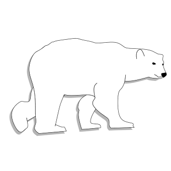 Silhouetteof Polar Bear