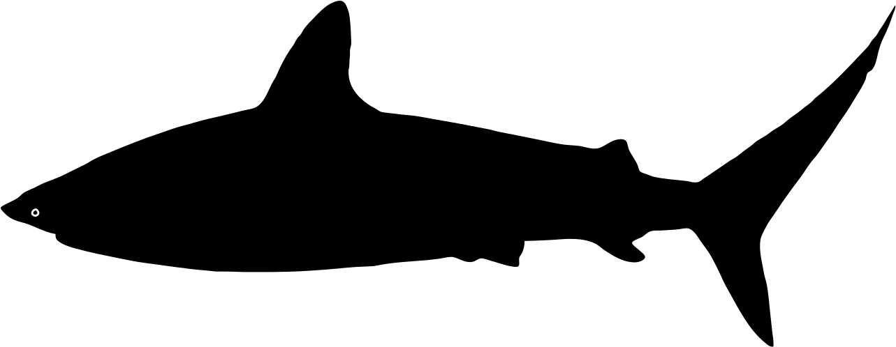 Free Shark Silhouette, Download Free Clip Art, Free - Shark Svg PNG with transparent background