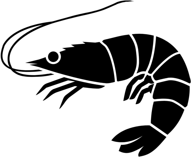Shrimp Icon - Shrimp Black And White, HD Png Download PNG with transparent background