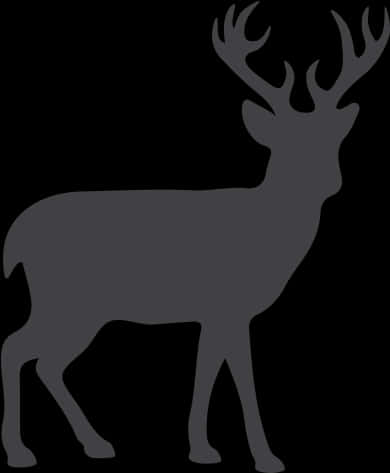 Silhouetteof Stag