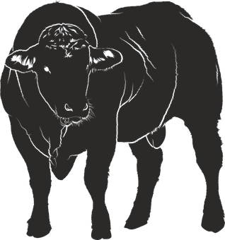 Silhouetteof Standing Bull PNG with transparent background
