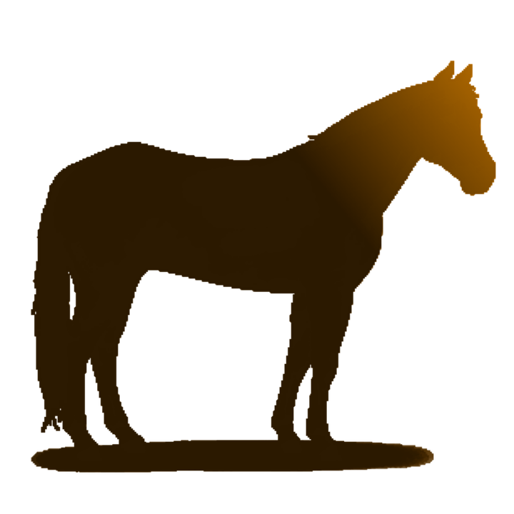 Silhouetteof Standing Horse