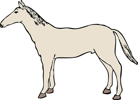 Silhouetteof Standing Horse