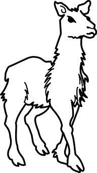 Silhouetteofa Llama