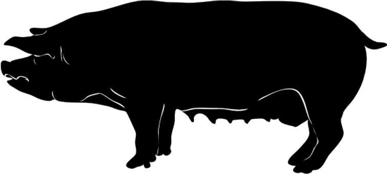 Silhouetteofa Pigon Black Background PNG with transparent background