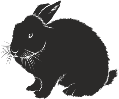 Silhouetteofa Rabbit PNG with transparent background