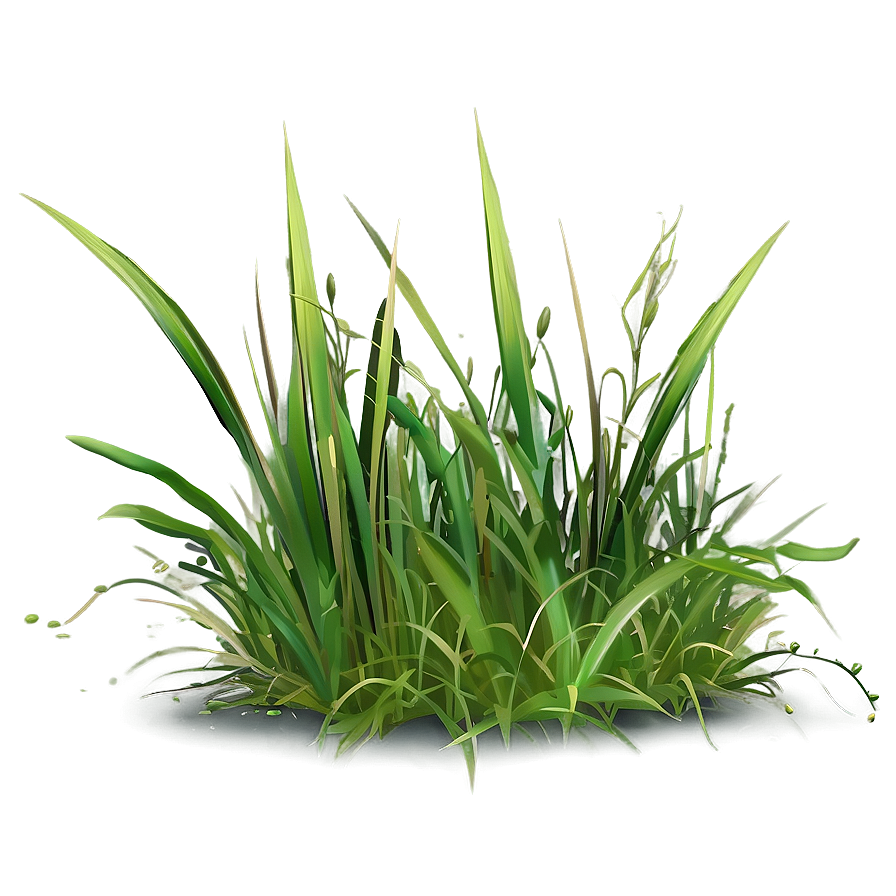 Silly Cartoon Grass Png Nhh57