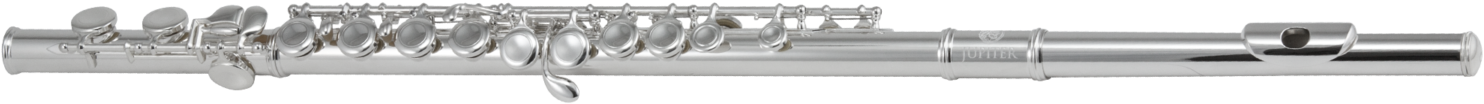 Silver Flute Side View