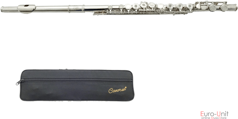 Silver_ Flute_with_ Case PNG with transparent background
