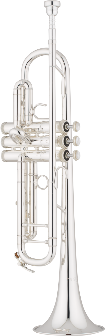 Silver Trumpet Standing Vertical