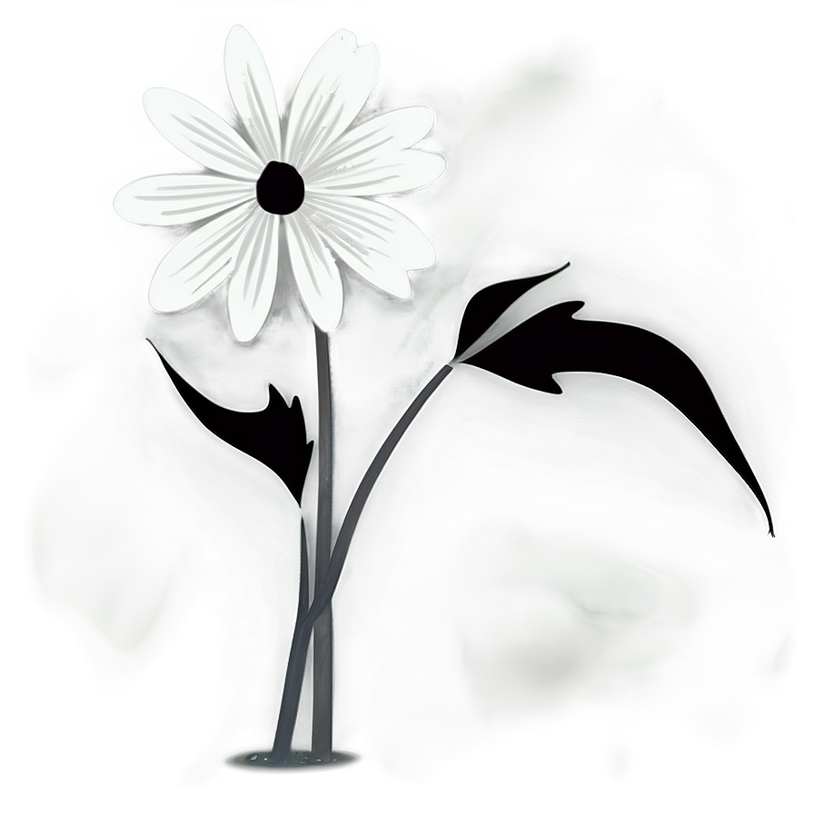 Simple Black and White Flower PNG 05252024 PNG image with a transparent background, free high-resolution download