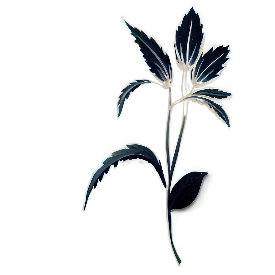 Simple Black and White Flower PNG 8 PNG with transparent background