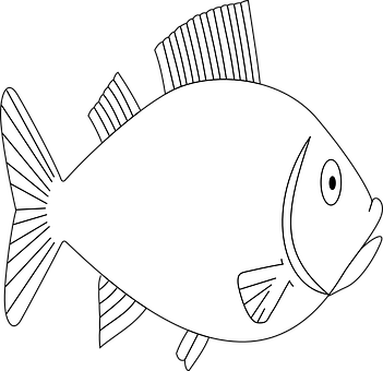 Simple Blackand White Fish Illustration PNG with transparent background