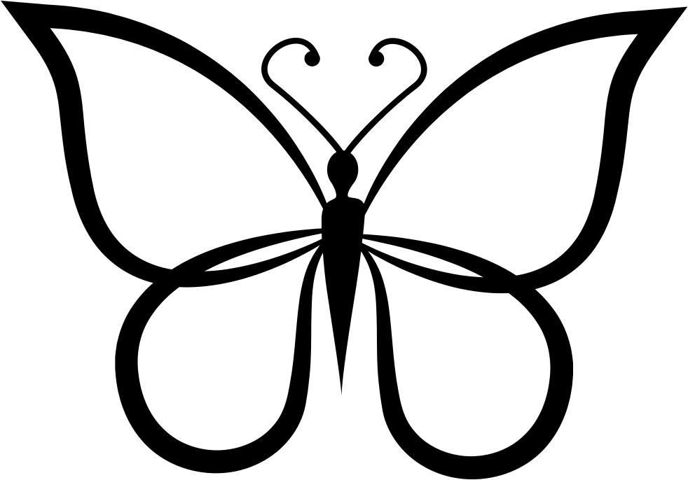 Butterfly Shape Outline Top View Comments - Butterfly Black And White, HD Png Download PNG with transparent background