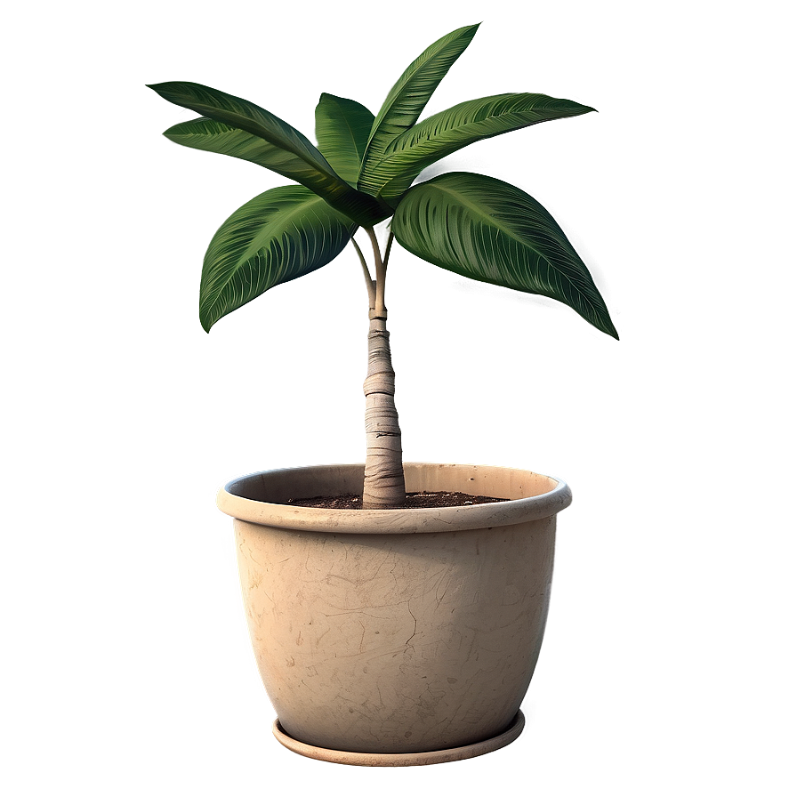 Simple Floor Plant Png Cjy