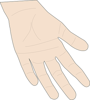 Simple Hand Illustration