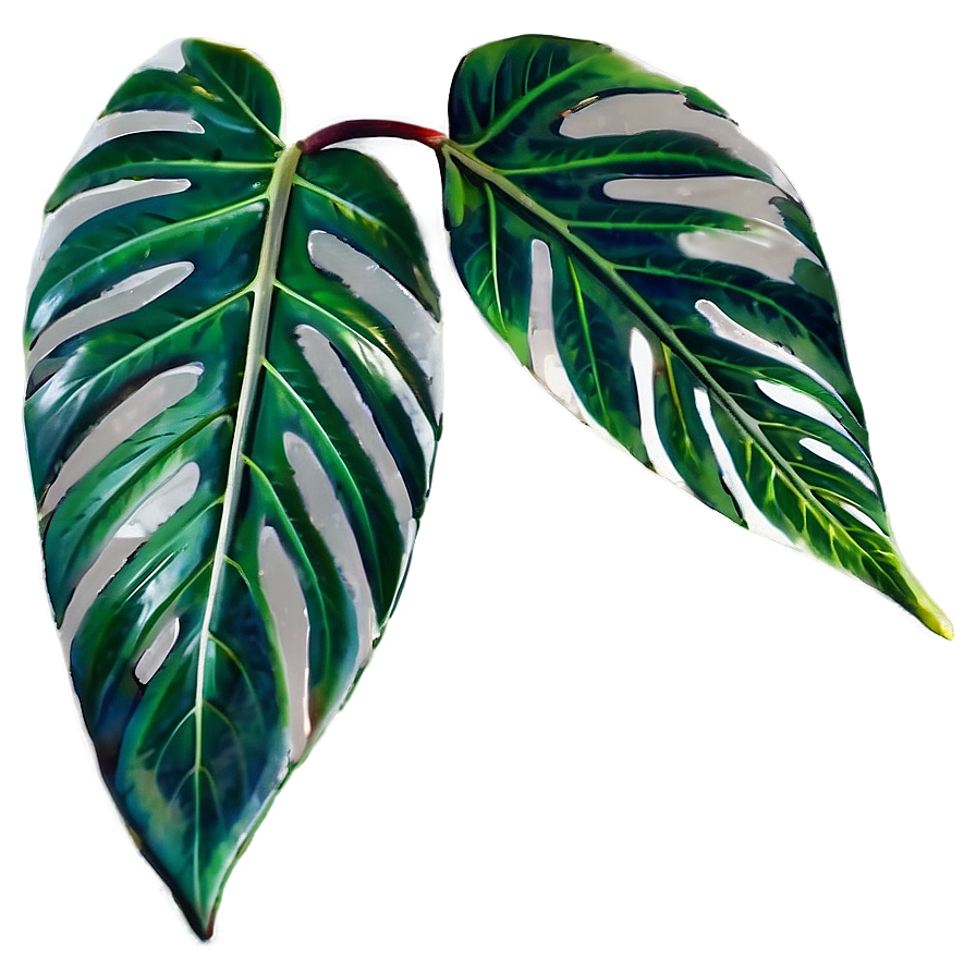 Simple Plant Leaves PNG 06232024 PNG with transparent background