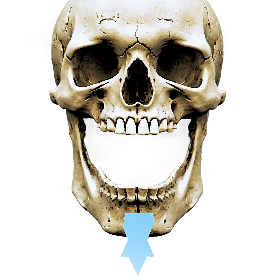 Simple Skull C