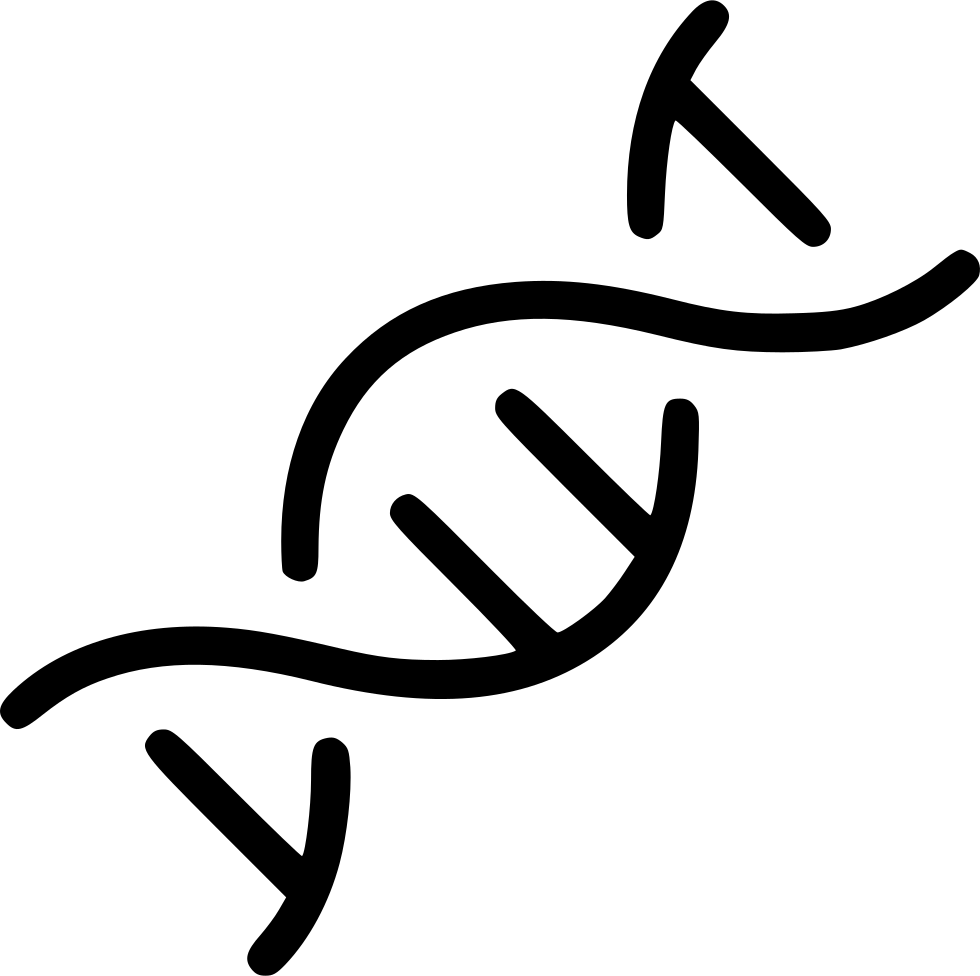 Simplified D N A Structure Graphic