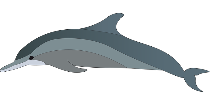 Simplified Dolphin Illustration PNG with transparent background