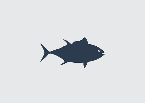 Simplified Fish Silhouette Graphic PNG with transparent background