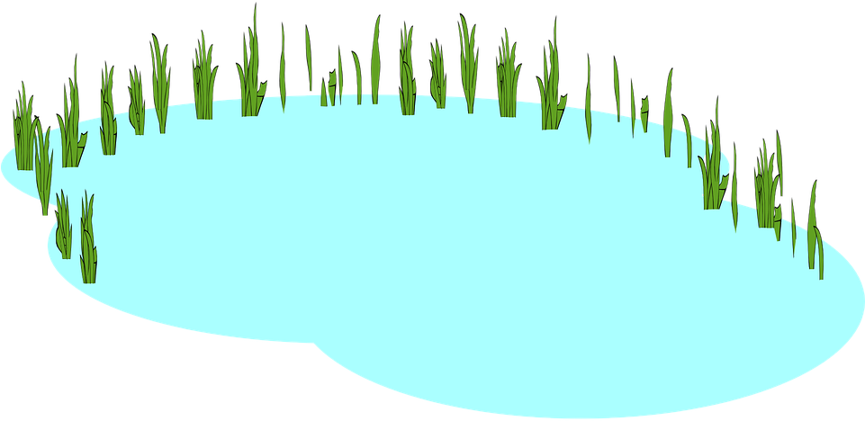 Pond, Marsh, Lake, Water, Swamp, Wetland, Nature, Blue - Transparent Background Pond Clipart, HD Png Download PNG with transparent background