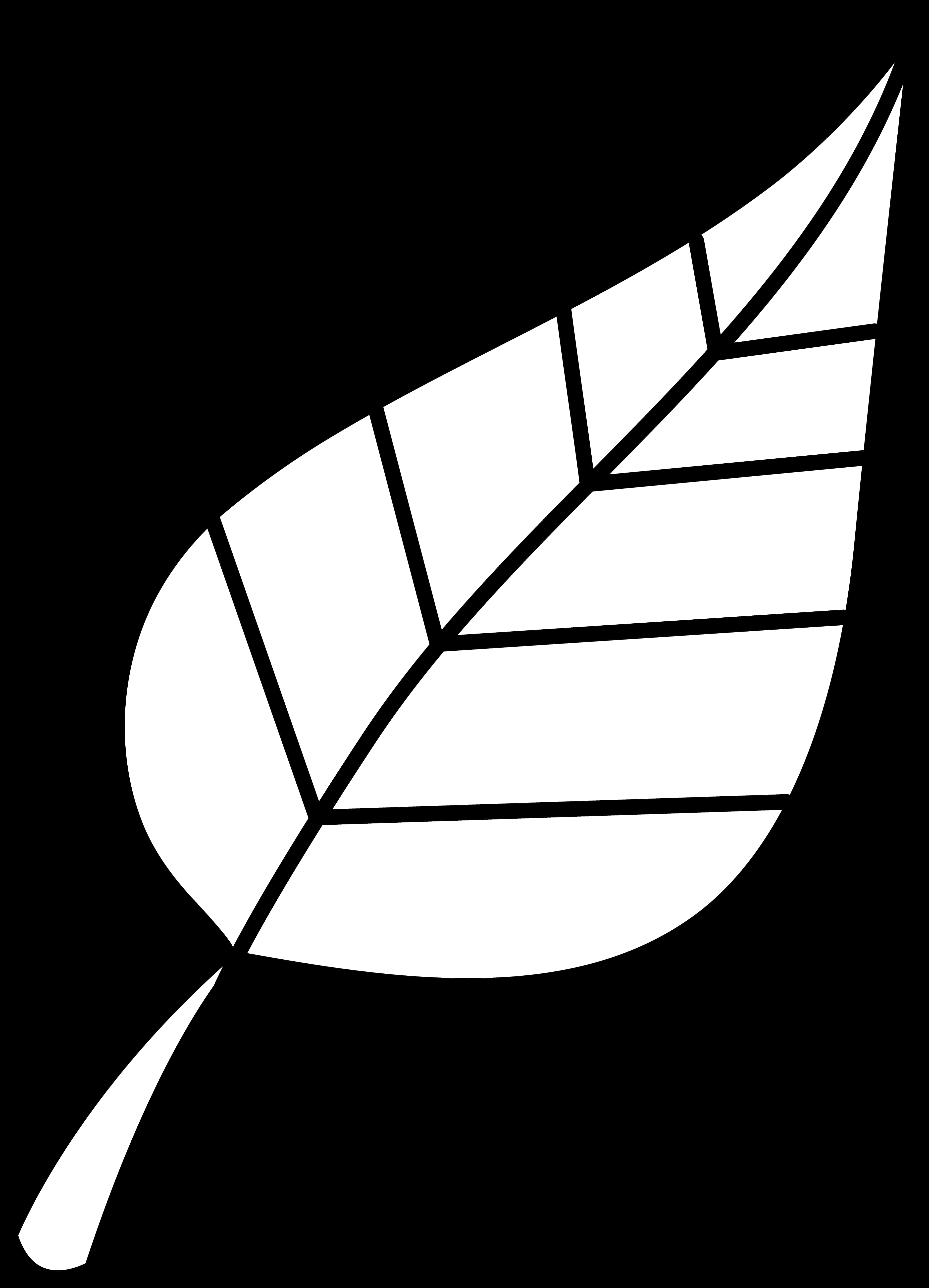 Simplified Leaf Graphic Blackand White PNG with transparent background