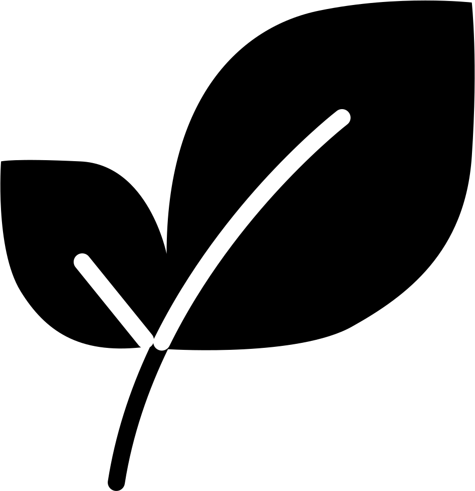 Simplified Leaf Graphic Icon PNG with transparent background