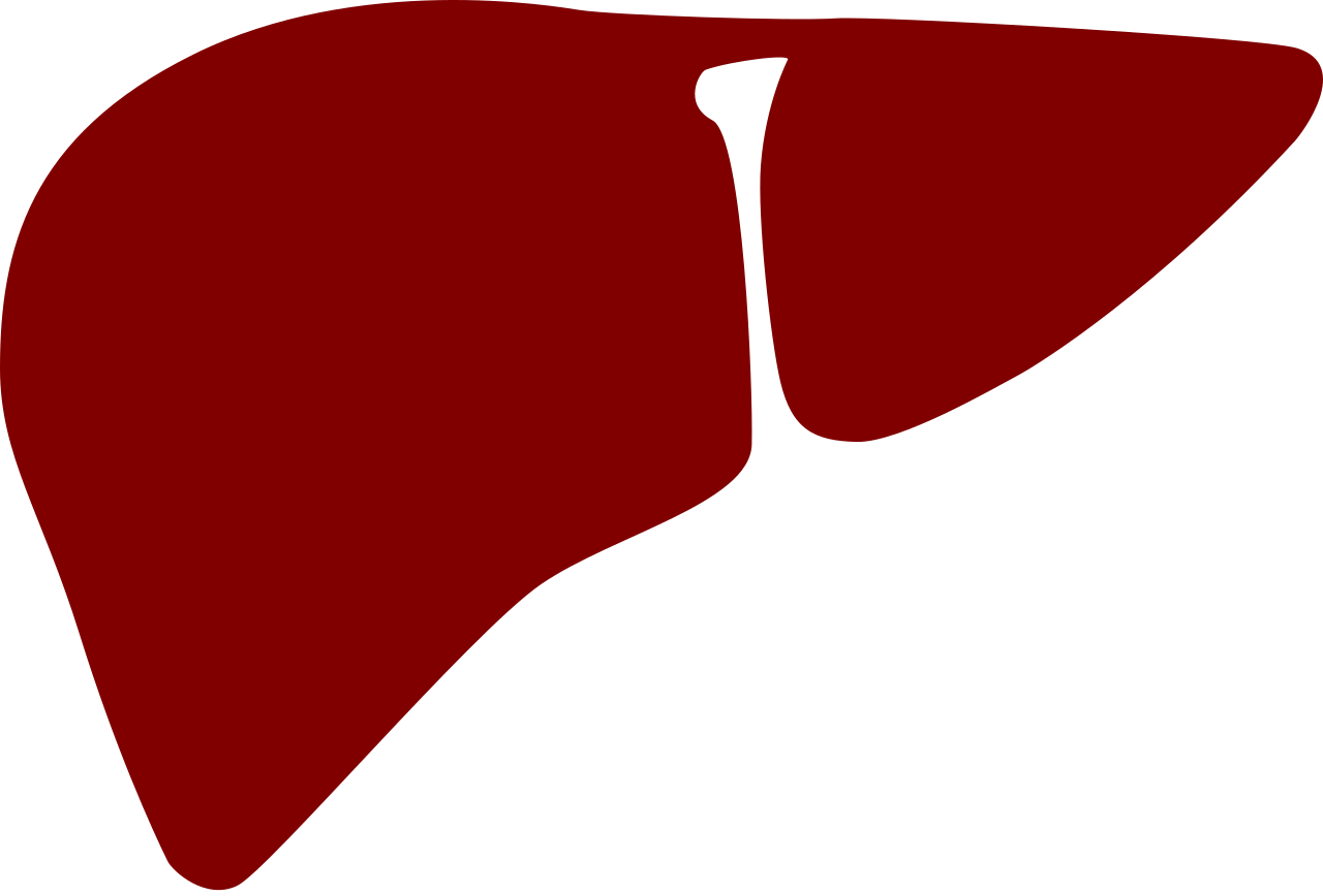 Simplified Liver Icon PNG with transparent background