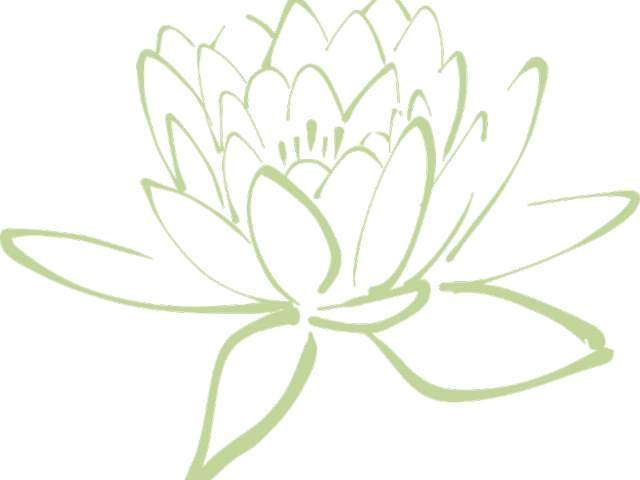 Transparent 300 Clipart - Lotus Flower Clipart Green, HD Png Download PNG image with a transparent background, free high-resolution download
