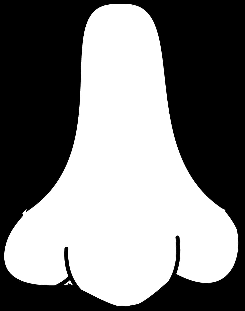 Nose, Nostril, Human, Outline - White Nose Png, Transparent Png PNG with transparent background