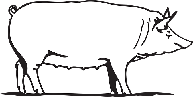 Simplified Pig Silhouette PNG with transparent background
