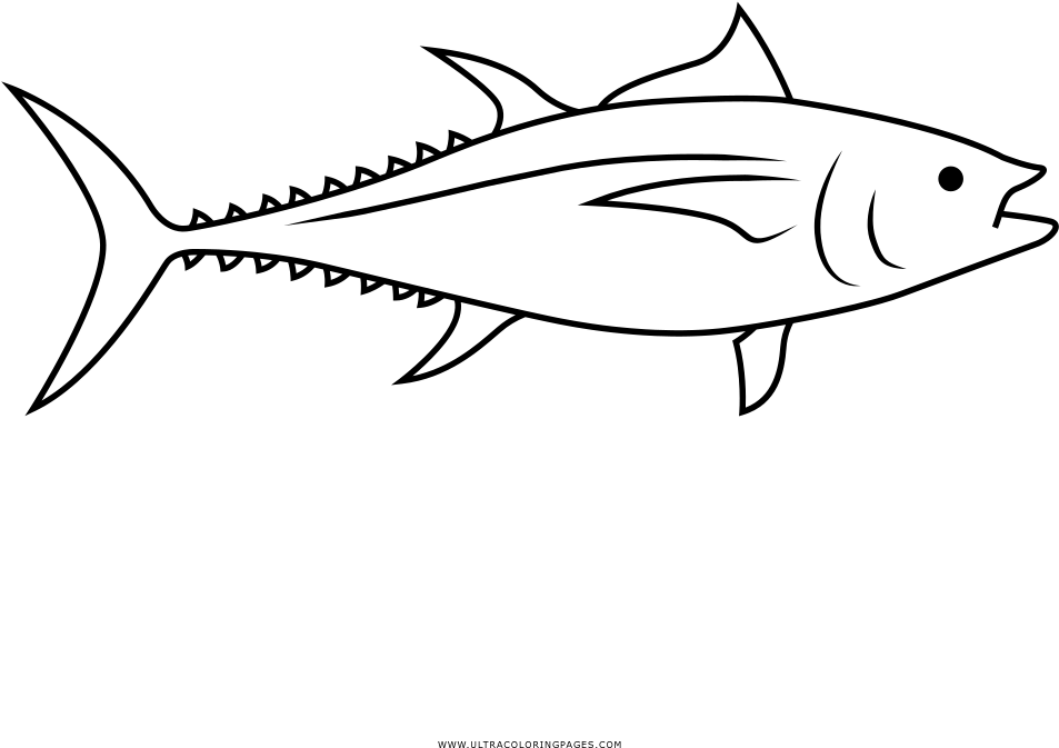 Tuna Coloring Page - Tuna, HD Png Download PNG image with a transparent background, free high-resolution download