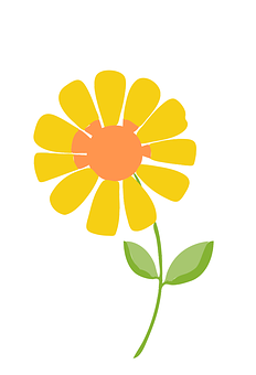 Simplified Yellow Flower Illustration PNG with transparent background