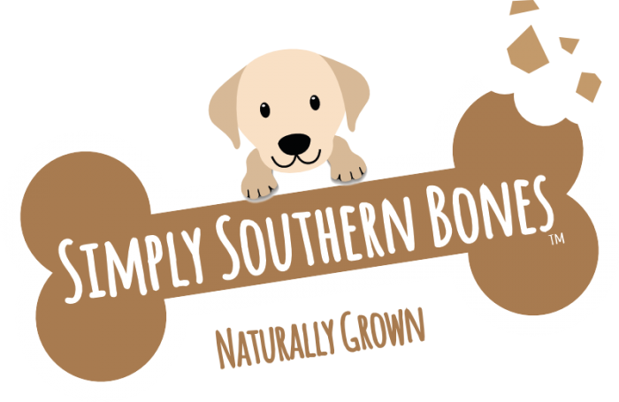 Transparent White Dog Bone Png, Png Download PNG image with a transparent background, free high-resolution download