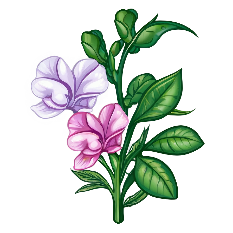 Sincere Sweet Pea Png 06202024