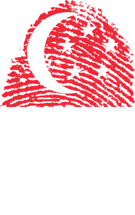 Singapore Fingerprint Flag Art