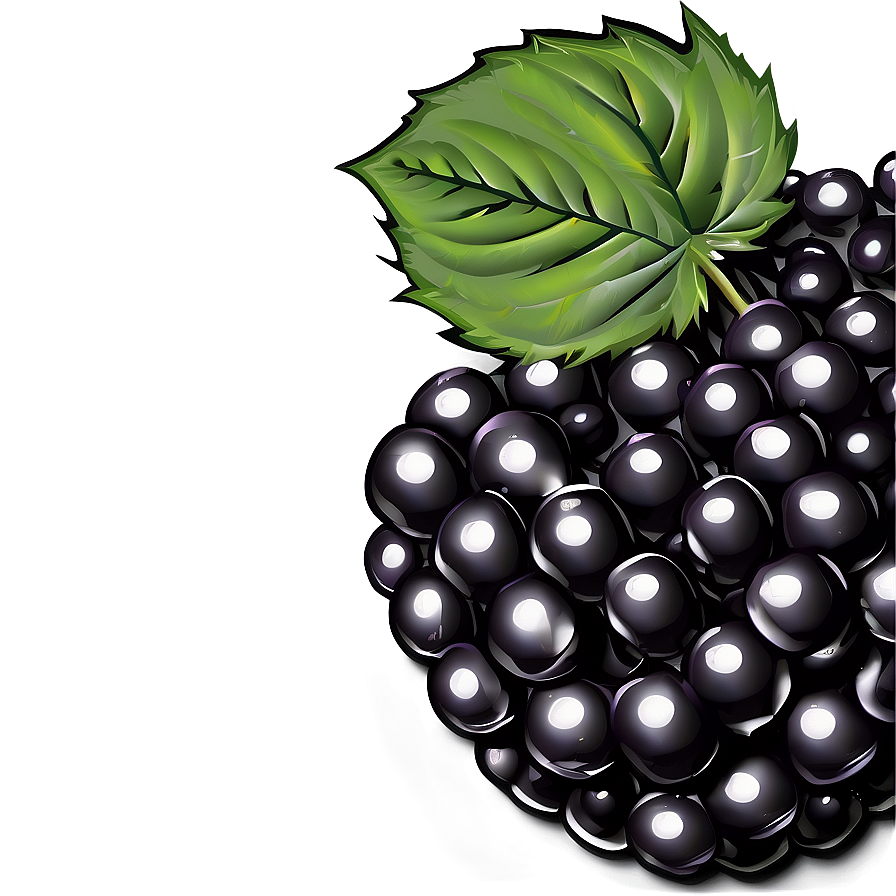 Single Blackberry Png Icf32