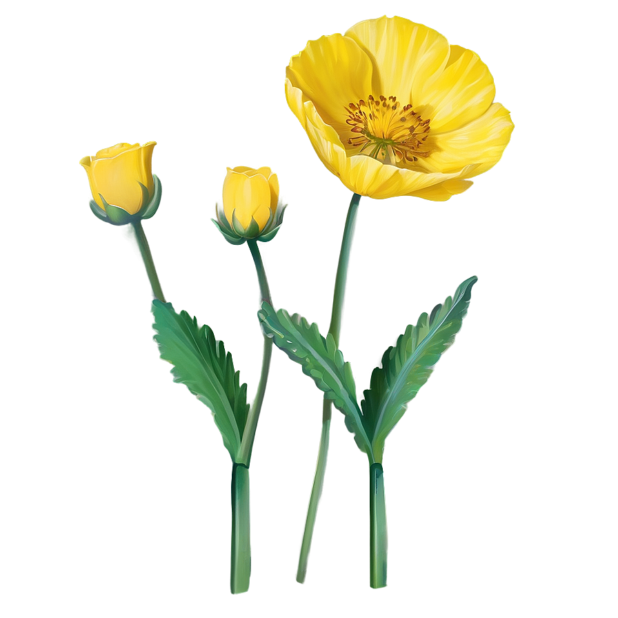 Single Buttercup Png Hsv