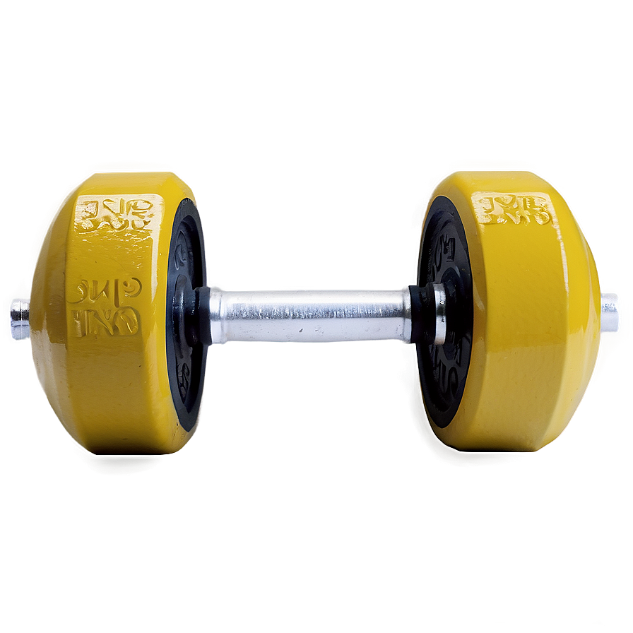 Single Cast Iron Dumbbell Png 05252024