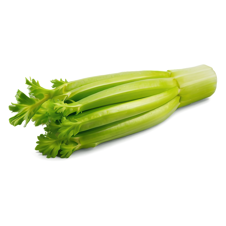 Single Celery Stalk Png Gkw