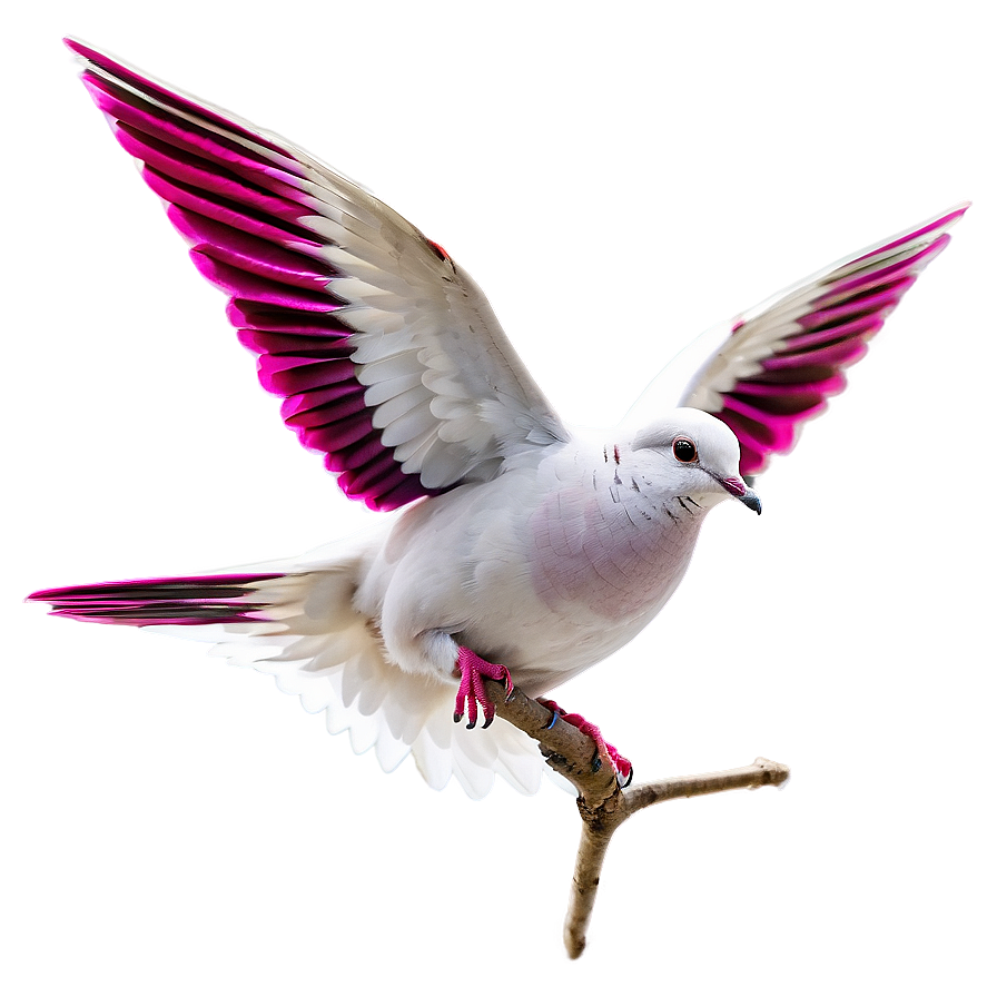 Single Dove Flying Png 98