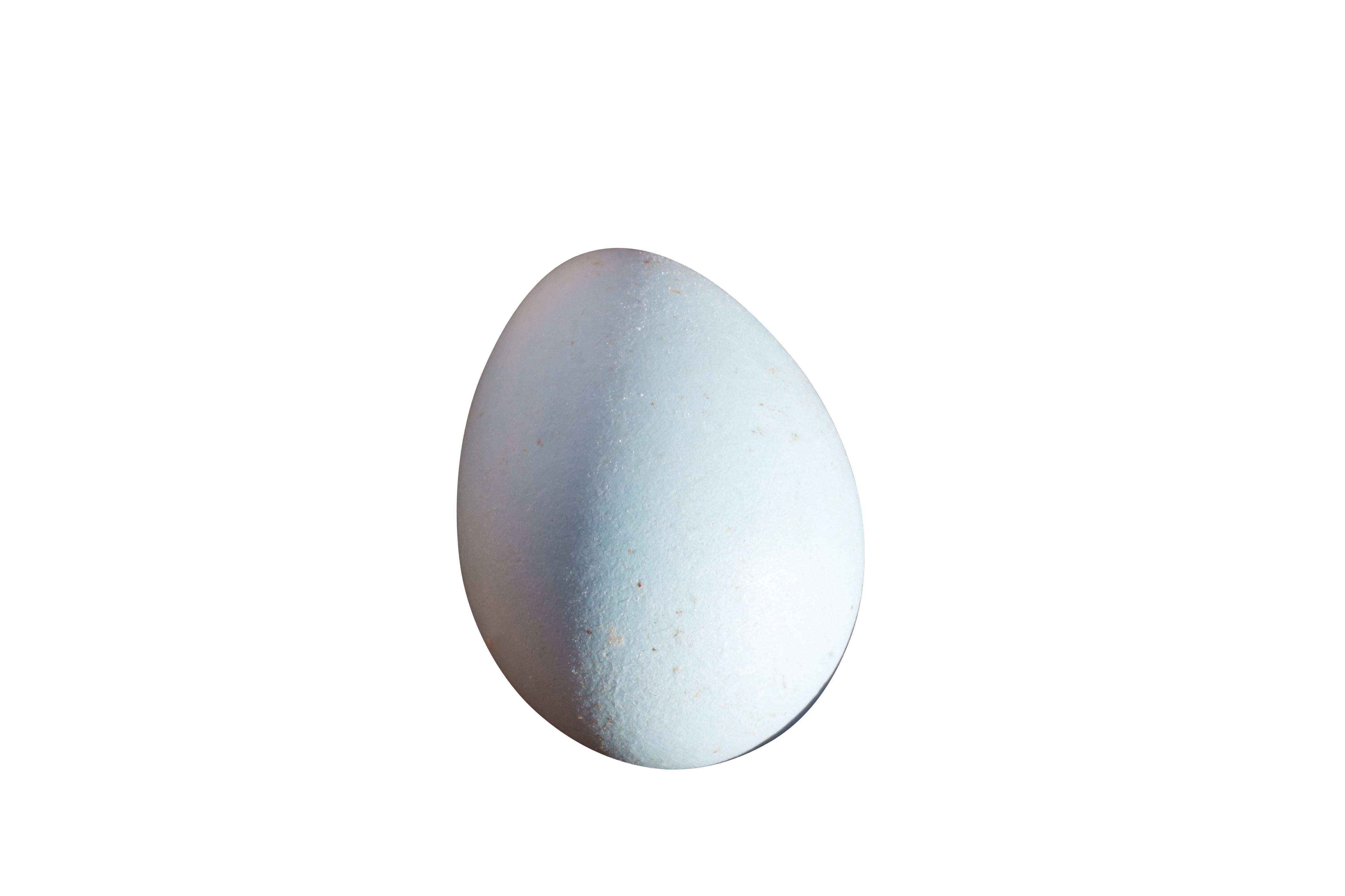 Single Egg Black Background.jpg PNG with transparent background