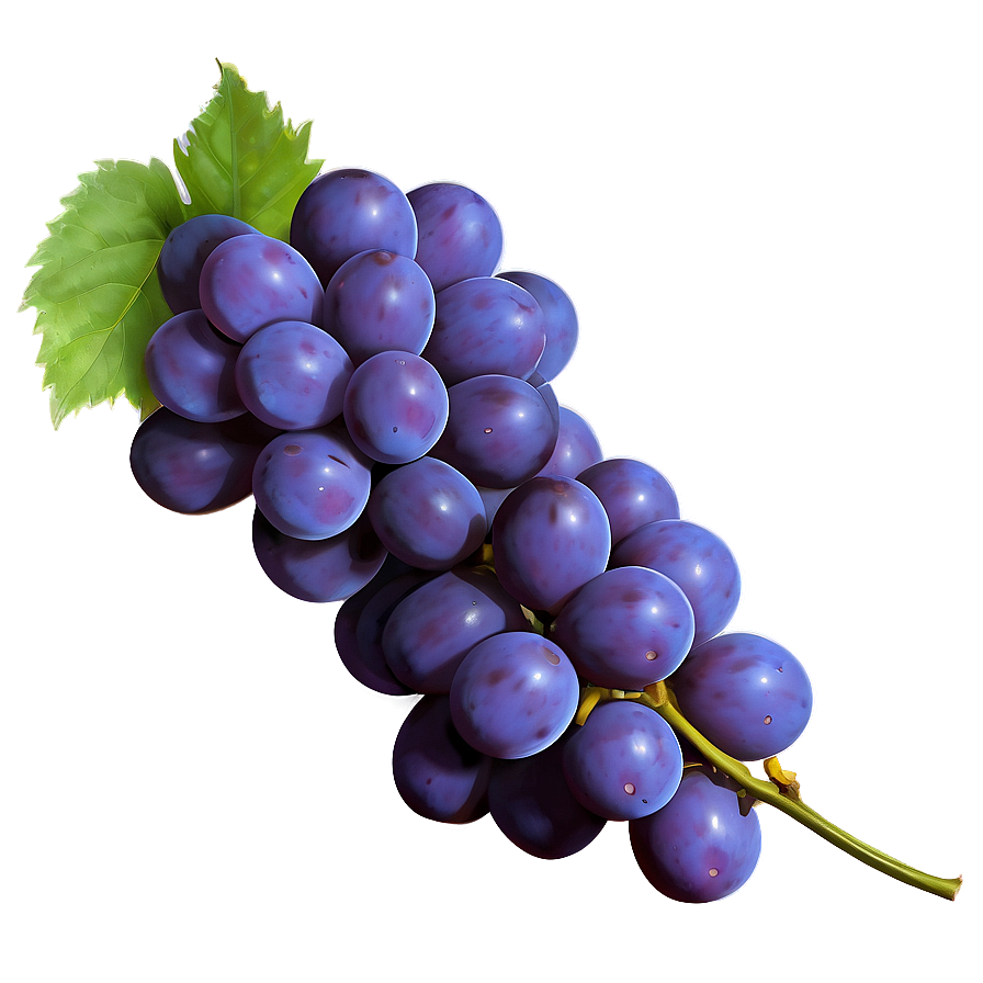 Single Fresh Grape Png Smd