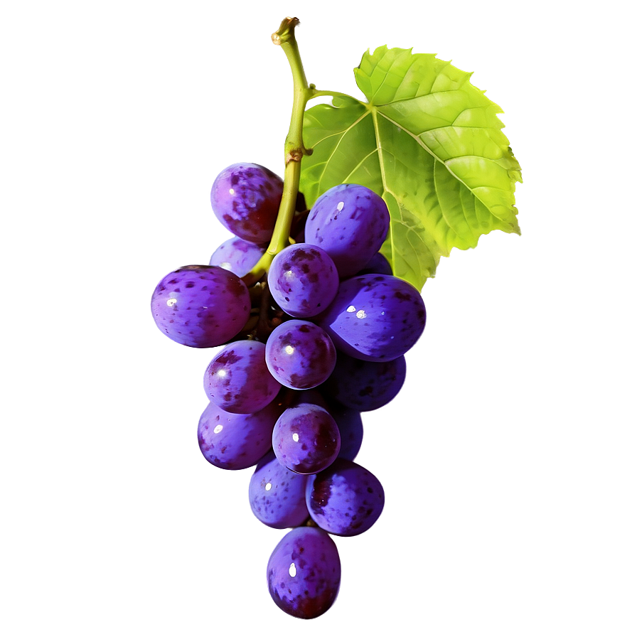 Single Fresh Grape Png Yme14